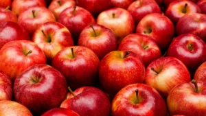 p07v2wjn - Daily Health Tips: Simple Tricks for a Healthier Life Fall Fruits