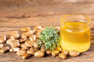 Castor_Oil_and_its_benefits - Daily Health Tips: Simple Tricks for a Healthier Life Castor Oil