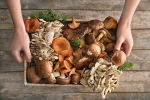 different-types-of-mushrooms - Daily Health Tips: Simple Tricks for a Healthier Life Mushrooms