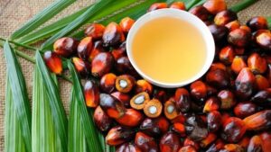 palmimic-acid-va-cong-dung-duong - Daily Health Tips: Simple Tricks for a Healthier Life Palmitic Acid