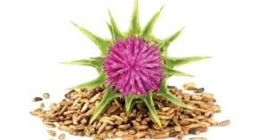 milk-thistle-flower-on-pile-of-s - Daily Health Tips: Simple Tricks for a Healthier Life Milk Thistle