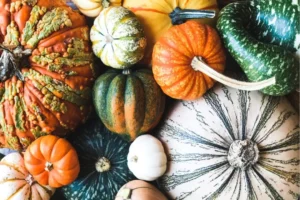Copy-of-WHAT-TO-EAT-NOW_-WINTER - Daily Health Tips: Simple Tricks for a Healthier Life Winter Squash