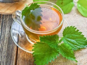 nettle_tea-732x549-thumbnail-732 - Daily Health Tips: Simple Tricks for a Healthier Life Stinging Nettle